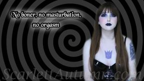 No boner, no masturbation, no orgasm