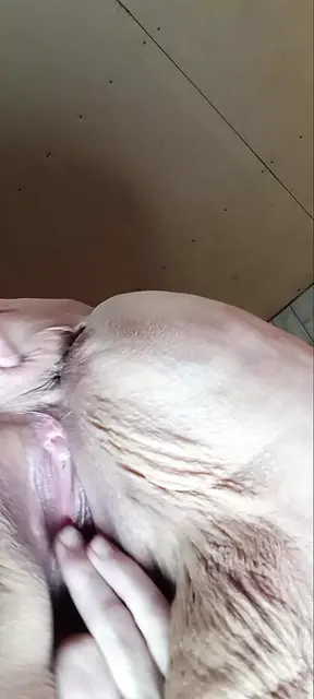 Bert's Gloryhole Surprise: Female Holed Finds Big Cock and Squirts