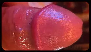 Solo Male's Desperate Pleasure