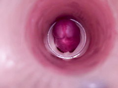 Female Insemination Internal Camera Captures Deep Male