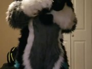 Cute Female Murrsuiter Strip Tease~