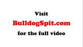 Scally british stud strokes his fat cock