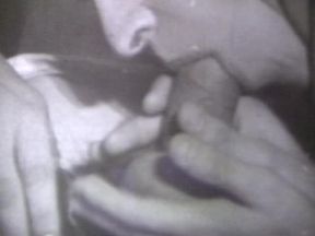 An Evening At The Adonis