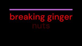 breaking ginger nuts