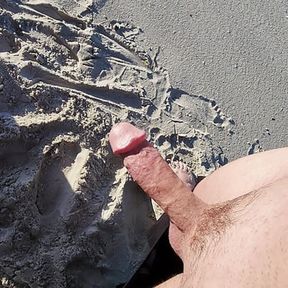 Stroking big thick hard veiny mushroom head outdoor beach cock