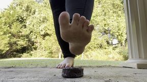 Snack Cake Trampling