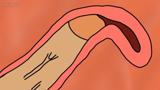 Ai hoshino x Aqua sex animation - Oshi no Ko by meltpuff