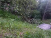 Naked cyclist on a forest road