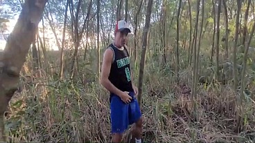 No Mato o Pau Come