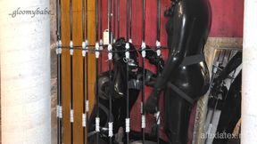 Pegging at the dungeon T1 sucking mistress&#039; dick - Alex Latex