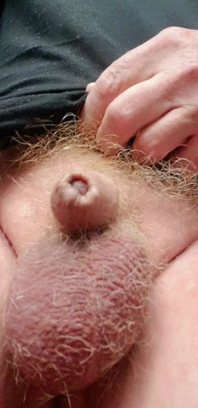 My tiny dick morning caress