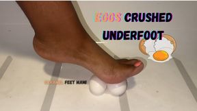 Eggs Crushed Underfoot