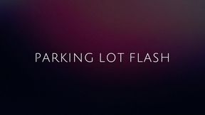 PARKING LOT UPSKIRT & SUCKS DICK