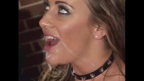 Profesional Cock Sucking