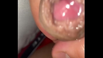 Pekeshow1620 - update #13 - IMG 8568 - Mar 02, 2025