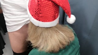 I go shopping and fuck Santa's helper in a changing room