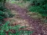 Dared to walk 50 steps away from my clothes in forest