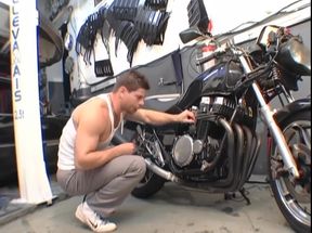 The Prey of Motorcyclists