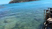Paraiso perfecto. Pis en la playa, Orinando