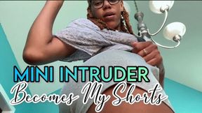 Mini Intruder Becomes My Shorts