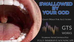 Inside His Belly - Giant Male Oral Vore Domination - Swallowed Whole Immersive JOI POV Audio by GTS Works [MP3]