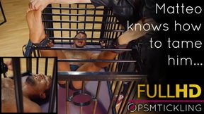 Hunk caged and tickled in the Cabinet HD
