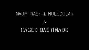 Naomi Nash's Caged Bastinado