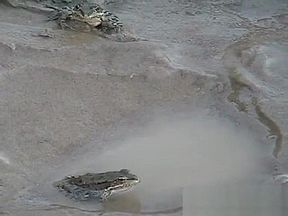 RuzzGirlz 24 Boat Trip AVBS1