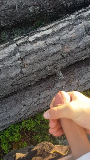 Outdoor public jerk off