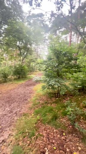 One little Strawberry alone in the forrest (3/5)
