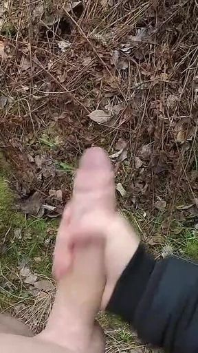 Handjob in Forest