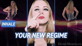 Your New Regime - Mobile Version