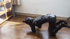 Fully covered latex humanoid dog
