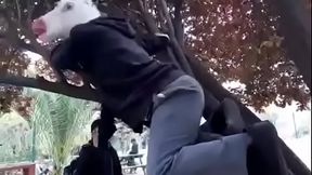 Shemale Rama-Chan got fucking with multiple gone wrong with anal chocolate and footjob cum in tits