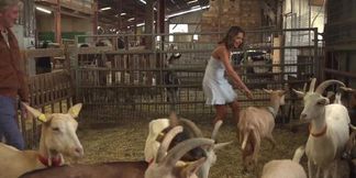 Busty Carollina Cherry gets fucked on the farm