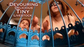 Devouring Delicious Tiny Livestock - HD - featuring Kane Fawkes and Jane Judge, in this hungry giantess and giant vore video with tinies kept in cages and fattened up for months before being seasoned and prepped to cook and then swallowed raw, as your