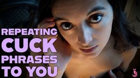Repeating Cuck Phrases To You