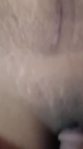 Deshi Outdoor bangli Video Rice field Working &amp; Loving Together   Clip 1