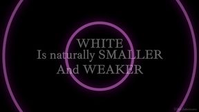 BNWO Music - Trap Beat (1)