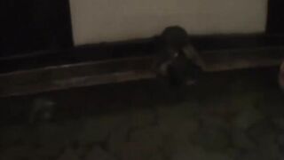 Asian Orgy #2 - Group Sex Action with Japanese Babes