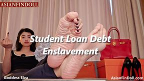 Student Loan Debt Enslavement - Goddess Elva Debt Trap JOI Loan Slavery Financial Domination Chinese Findom