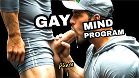 GAY MIND PROGRAM - Phase 1