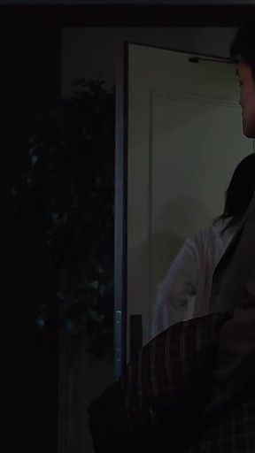 Paradise Lost: a Forbidden Affair, Meetings and Deepening Love