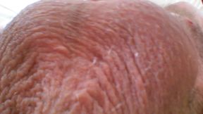 Camera Blunder in the Attempt at Facial Insemination