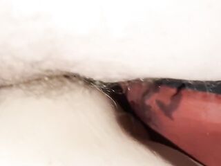 MONARCH-S&M(BARONET)13.15