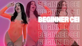 Beginner CEI
