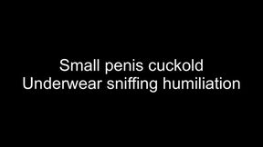 Gay small penis cuckold underwear sniffing humiliation