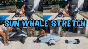 Sun whale stretch