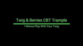 I Wanna Play With Your Twig