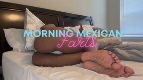 POV: Gassy Morning After Mexican Food – My Farts Reek